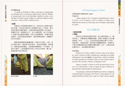 阿美族文化與社變遷2_完整版.Id_300000000018cd2_compressed-34.jpg