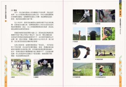 阿美族文化與社變遷2_完整版.Id_300000000018cd2_compressed-35.jpg