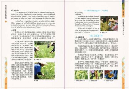 阿美族文化與社變遷2_完整版.Id_300000000018cd2_compressed-36.jpg