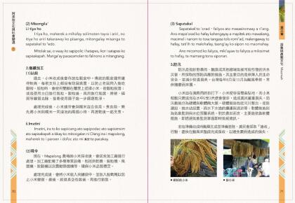 阿美族文化與社變遷2_完整版.Id_300000000018cd2_compressed-37.jpg