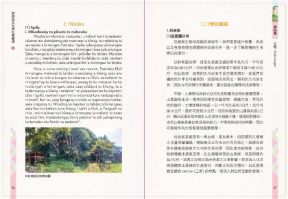 阿美族文化與社變遷2_完整版.Id_300000000018cd2_compressed-45.jpg