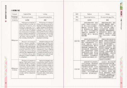 阿美族文化與社變遷2_完整版.Id_300000000018cd2_compressed-48.jpg