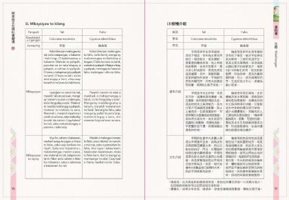 阿美族文化與社變遷2_完整版.Id_300000000018cd2_compressed-50.jpg
